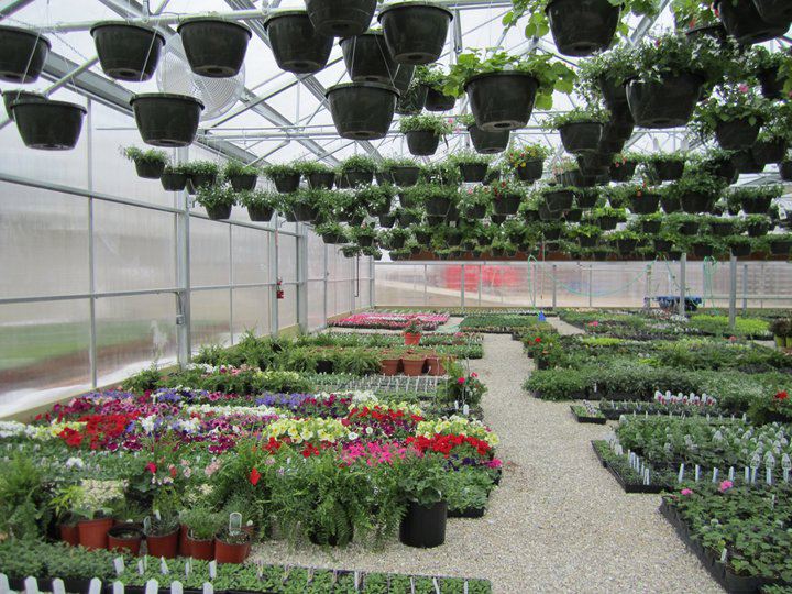 Polycarbonate Panels in Greenhouses